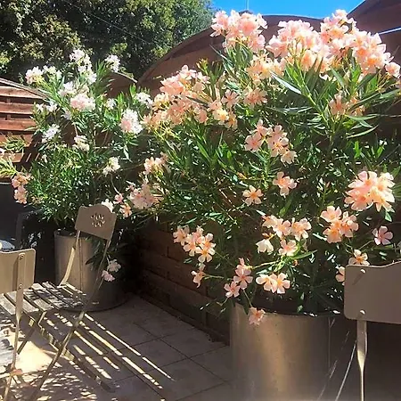 Hotell La Clef Des Songes - Au Calme, Au Coeur De Sarlat, 2 Minutes A Pied De La Cite Medievale - Climatisation - Petits Dejeuners Fait Maison - Parking Gratuit - Option Et Massages - Piscine De Saison A 400m 4*